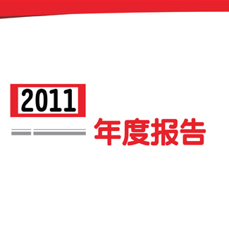 企业年报